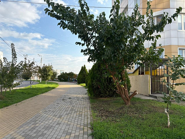1-к квартира, 39 кв.м.